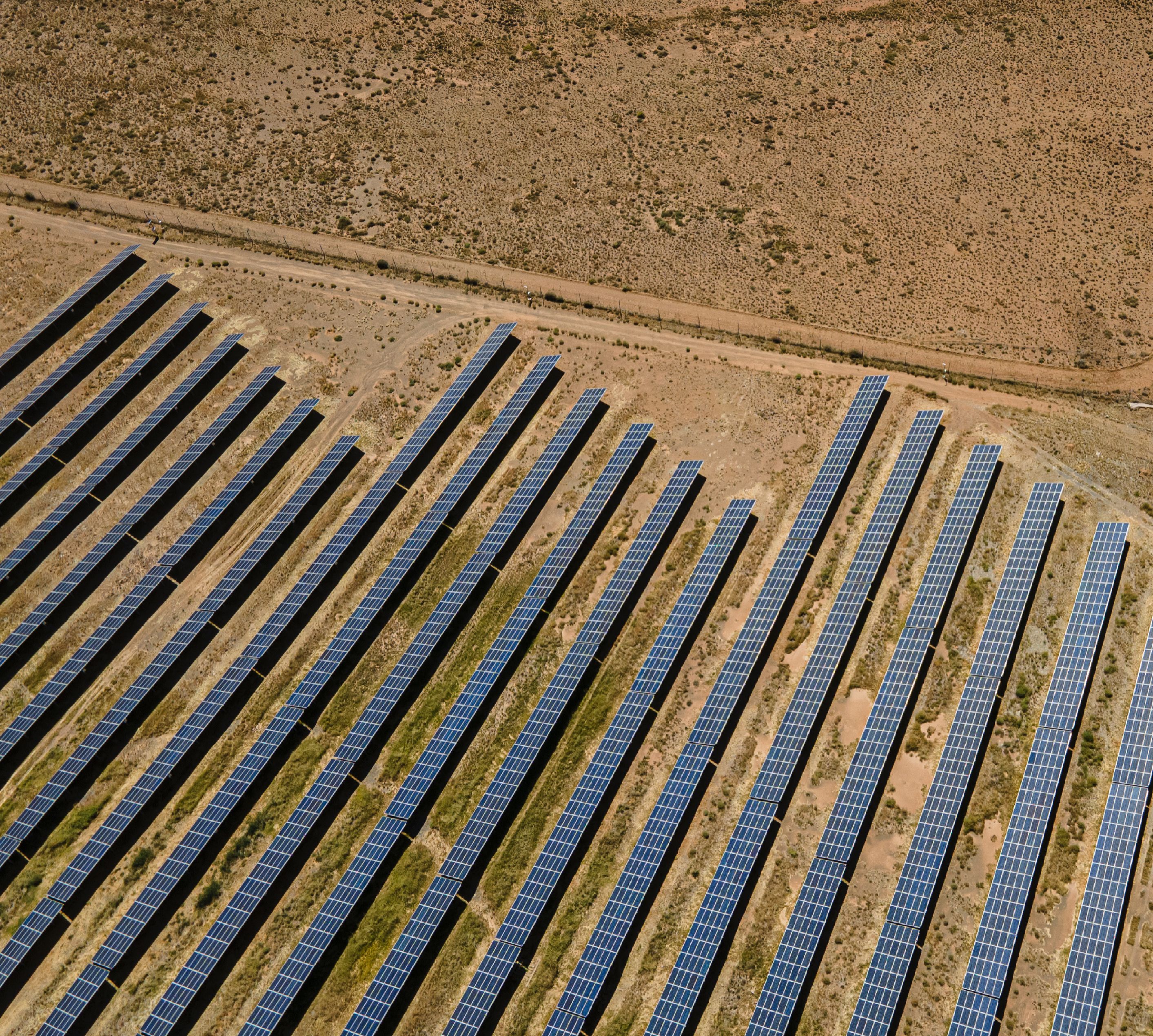 Rows of solar panels stretching across open desert land