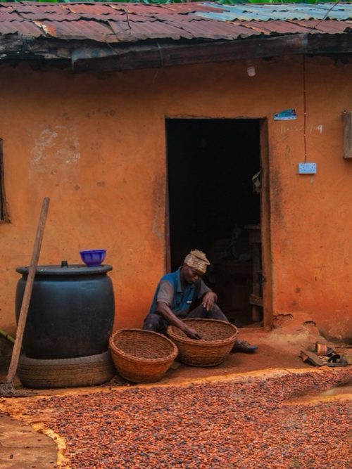 A man sorting beans laid out to dry on the ground outside a house